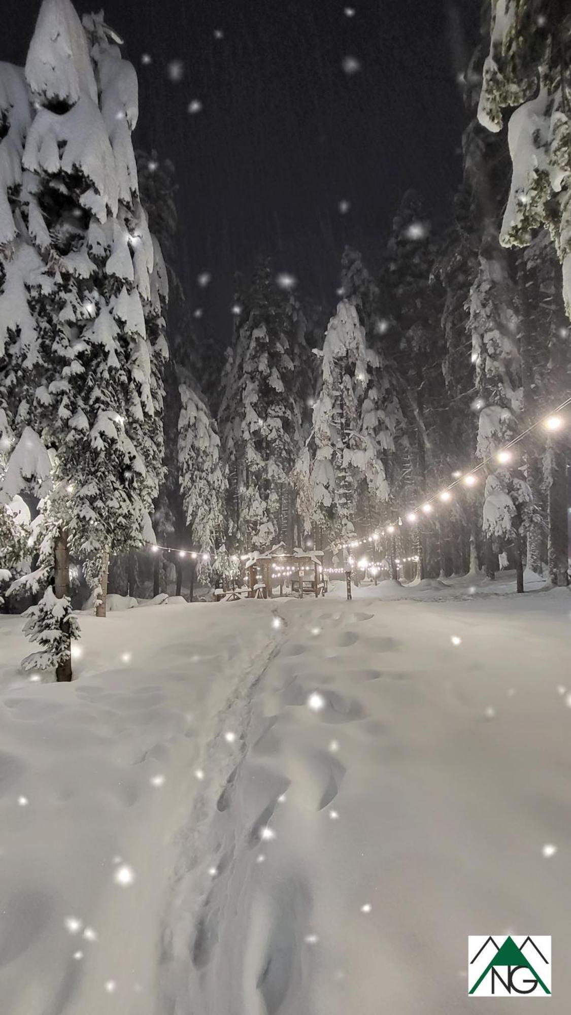 Pinewood Ang Luxurious Apartment A32 Borovets Bagian luar foto